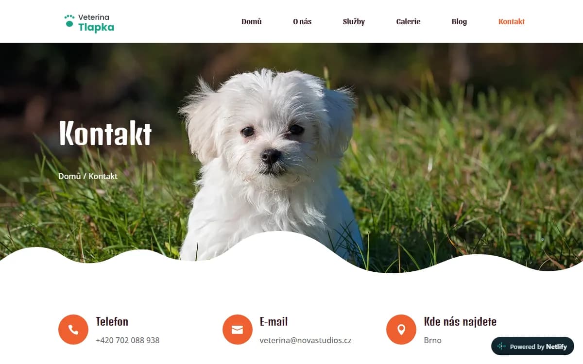 Web pro péči o mazlíčky — Kontakt